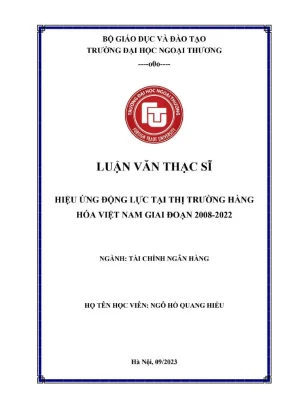 Hiệu ứng động lực tại thị trường hàng hóa việt nam giai đoạn 2008 2012