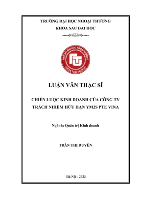 Chiến lược kinh doanh của công ty tnhh ym2s pte vina