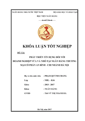 Phát triển tín dụng đối với doanh nghiệp vừa và nhỏ tại ngân hàng thương mại cổ phần an bình chi nhánh hà nội