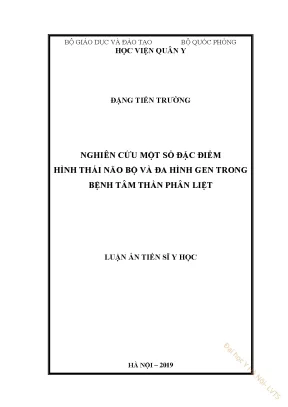 Nghiên cứu một số đặc điểm hình thái não bộ và đa hình gen trong bệnh tâm thần phân liệt