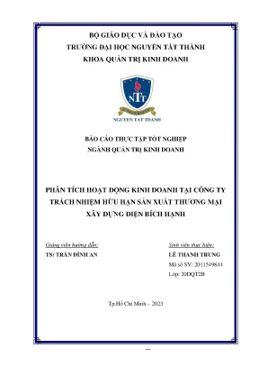 Phân tích hoạt động kinh doanh tại công ty trách nhiệm hữu hạn sản xuất thương mại xây dựng điện bích hạnh