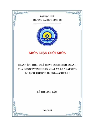 Phân tích hiệu quả hoạt động kinh doanh của công ty tnhh sản xuất và lắp ráp ô tô du lịch trường hải kia chu lai