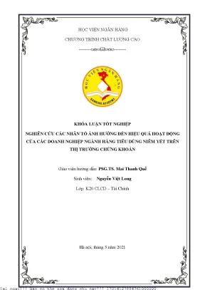 Nghiên cứu các nhân tố ảnh hưởng đến hiệu quả hoạt động của các doanh nghiệp ngành hàng tiêu dùng niêm yết trên thị trường chứng khoán việt nam