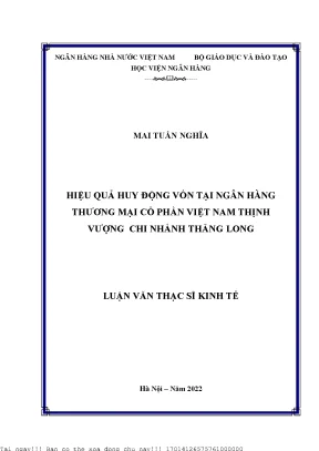 Hiệu quả huy động vốn tại ngân hàng thương mại cổ phần việt nam thịnh vượng chi nhánh thăng long