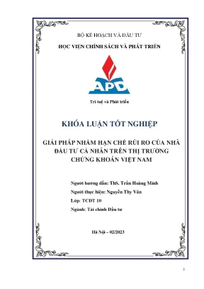 Giải pháp nhằm hạn chế rủi ro của nhà đầu tư cá nhân trên thị trường chứng khoán việt nam