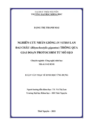 Nghiên cứu nhân giống in vitro lan đai châu rhynchostylisg gigantea thông qua giai đoạn protocorm từ mô sẹo
