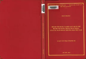 Rủi ro tín dụng và hiệu quả quản trị rủi ro tín dụng trong hoạt động của các ngân hàng thương mại việt nam