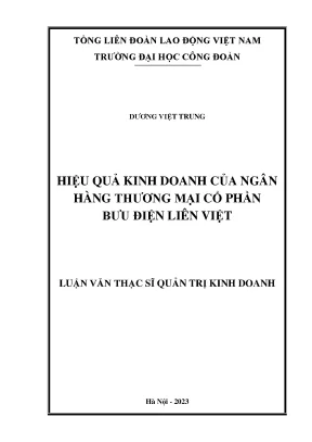 Hiệu quả kinh doanh của ngân hàng thương mại cổ phần bưu điện liên việt
