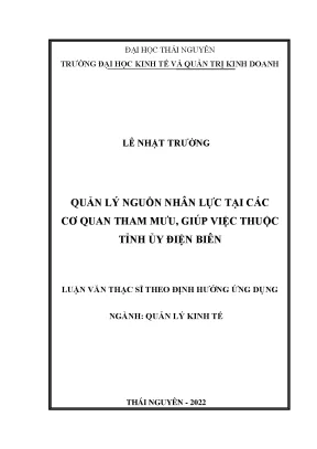 Quản lý nguồn nhân lực tại các cơ quan tham mưu giúp việc thuộc tỉnh ủy điện biên