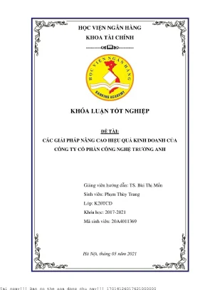 Các giải pháp nâng cao hiệu quả kinh doanh của công ty cổ phần công nghệ trường anh