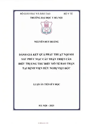Đánh giá kết quả phẫu thuật nội soi sau phúc mạc cắt thận triệt căn điều trị ung thư biểu mô tế bào thận tại bệnh viện việt đức
