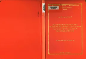 Hạn chế rủi ro trong hoạt động kinh doanh thẻ tín dụng tại sở giao dịch ngân hàng thương mại cổ phần ngoại thương việt nam