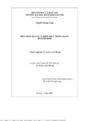 Cá biện pháp bảo vệ và khôi phụ trong mạng ip over wdm