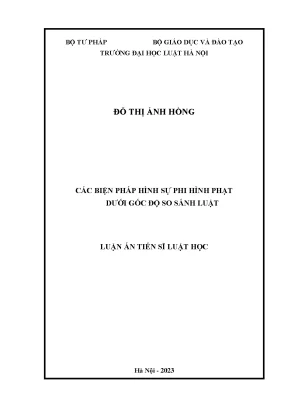 Các biện pháp hình sự phi hình phạt dưới góc độ so sánh luật