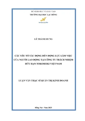 Các yếu tố tác động đến động lực làm việc của người lao động tại công ty trách nhiệm hữu hạn tokoseiki việt nam