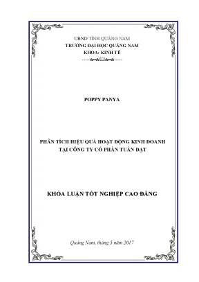Phân tích hiệu quả hoạt động kinh doanh tại công ty cổ phần tuấn đạt full 10 điểm