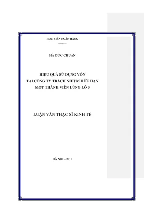 Hiệu quả sử dụng vốn tại công ty trách nhiệm hữu hạn một thành viên lũng lô 3