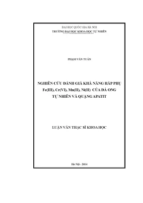 Luận văn thạc sĩ nghiên cứu đánh giá khả năng hấp phụ feiii crvi mnii niii của đá ong tự nhiên và quặng apatit