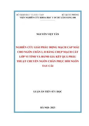 Luận án nghiên cứu giải phẫu động mạch cấp máu cho ngón chân i ii bằng chụp mạch cắt lớp vi tính và đánh giá kết quả phẫu thuật chuyển ngón chân phục hồi ngón tay cái