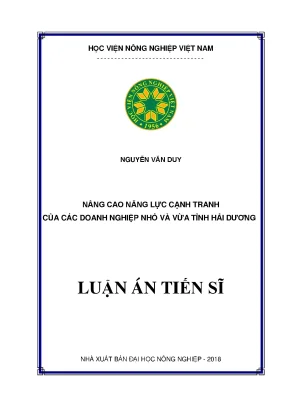 Luận án tiến sĩ kinh tế nâng cao năng lực cạnh tranh của các doanh nghiệp nhỏ và vừa tỉnh hải dương