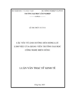 Các yếu tố ảnh hưởng đến động lực làm việc của giảng viên trường đại học công nghệ miền đông