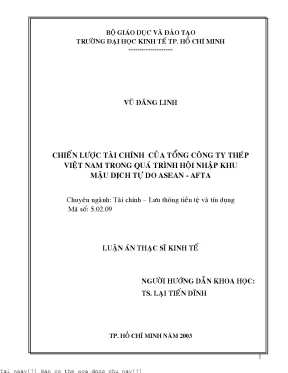 Chiến lược tài chính của tổng công ty thép việt nam trong quá trình hội nhập khu mậu dịch tự do asean afta