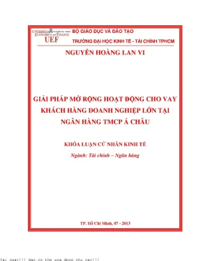 Giải pháp mở rộng hoạt động cho vay khách hàng doanh nghiệp lớn tại ngân hàng tmcp á châu