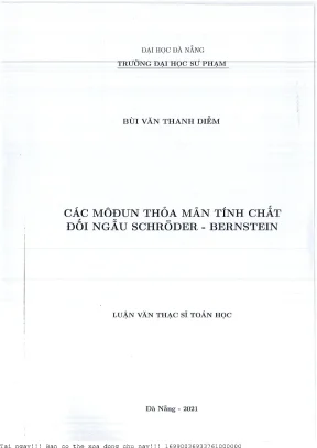 Các môđun thỏa mãn tính chất đối ngẫu schrôder bernstein