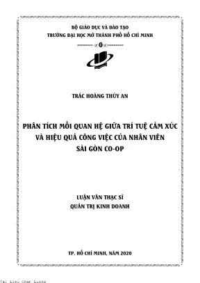 Phân tích mối quan hệ giữa trí tuệ cảm xúc và hiệu quả công việc của nhân viên sài gòn co op