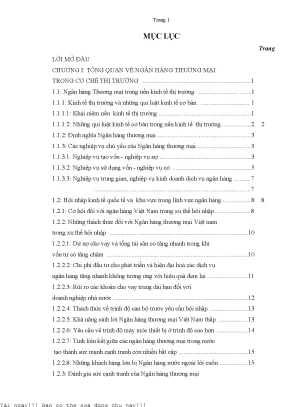 Biện pháp nâng cao hiệu quả hoạt động của ngân hàng thương mại trong xu thế hội nhập trên địa bàn tp cần thơ