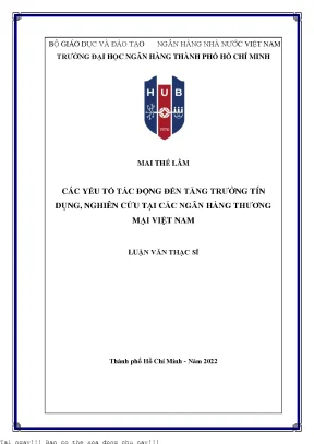 Các yếu tố tác động đến tăng trưởng tín dụng nghiên cứu tại các ngân hàng thương mại việt nam 2022