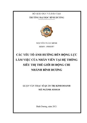 Các yếu tố ảnh hưởng đến động lực làm việc của nhân viên tại hệ thống siêu thị thế giới di động chi nhánh bình dương