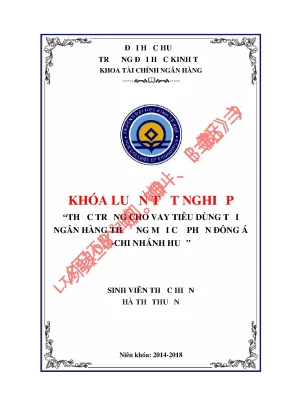 Thực trạng cho vay tiêu dùng tại ngân hàng thương mại cổ phần đông á chi nhánh huế