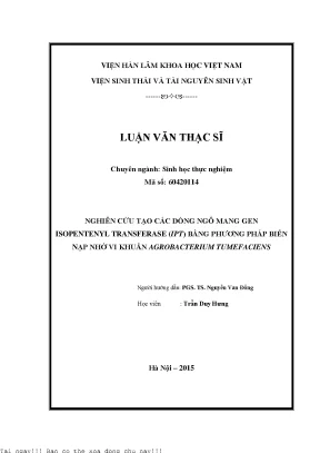 Nghiên cứu tạo các dòng ngô mang gen isopentenyl transferase ipt bằng phương pháp biến nạp nhờ vi khuẩn agrobacterium tumefaciens