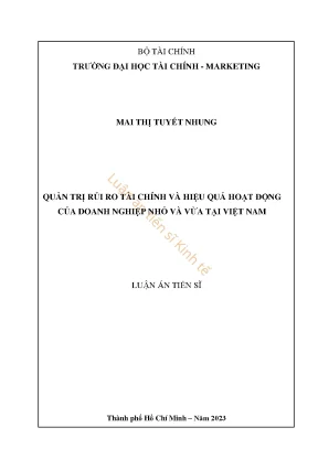 Quản trị rủi ro tài chính và hiệu quả hoạt động của doanh nghiệp nhỏ và vừa tại việt nam