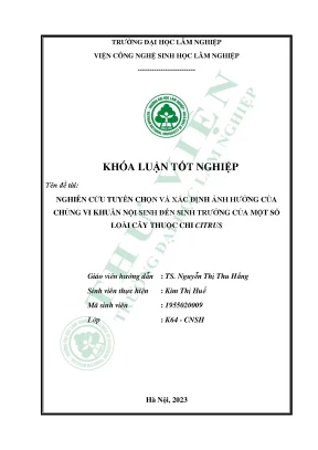 Nghiên cứu tuyển chọn và xác định ảnh hưởng của chủng vi khuẩn nội sinh đến sinh trưởng của một số loài cây thuộc chi citrus