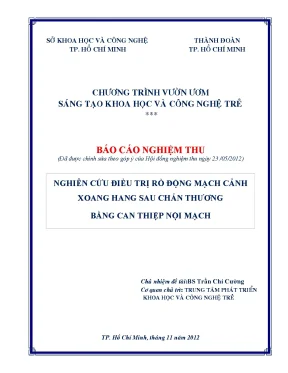 Điều trị rò động mạch cảnh xoang hang sau chấn thương bằng can thiệp nội mạch
