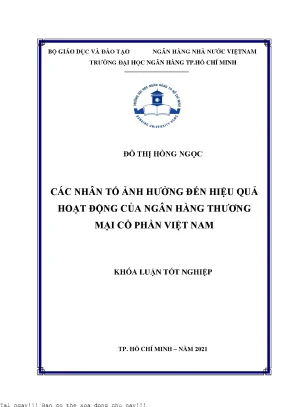 Các nhân tố ảnh hưởng đến hiệu quả hoạt động của ngân hàng thương mại cổ phần việt nam 2021