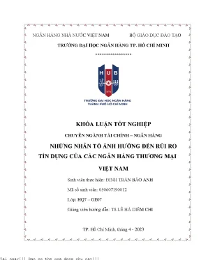 Những nhân tố ảnh hưởng đến rủi ro tín dụng của các ngân hàng thương mại việt nam 2023