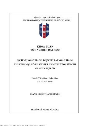 Dịch vụ ngân hàng điện tử tại ngân hàng tmcp việt nam thương tín chi nhánh chợ lớn 2023