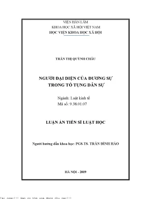 Người đại diện của đương sự trong tố tụng dân sự