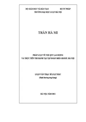 Pháp luật về nội quy lao động và thực tiễn thi hành tại tập đoàn medgroup hà nội