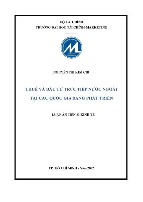 Thuế và đầu tư trực tiếp nước ngoài tại các quốc gia đang phát triển