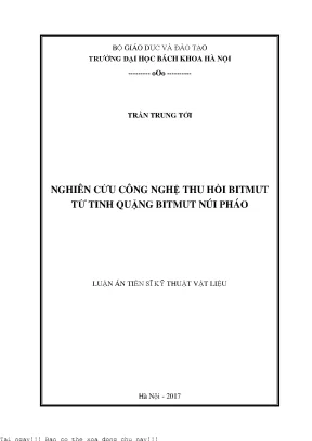Nghiên cứu công nghệ thu hồi bitmut từ tinh quặng bitmut núi pháo