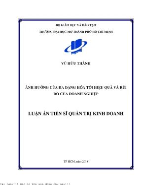 Ảnh hưởng của đa dạng hóa tới hiệu quả và rủi ro của doanh nghiệp