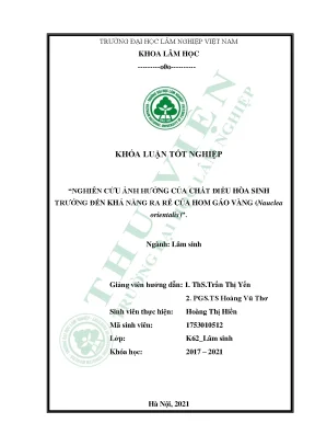 Nghiên cứu ảnh hưởng của chất điều hòa sinh trưởng đến khả năng ra rễ của hom gáo vàng nauclea orientalis