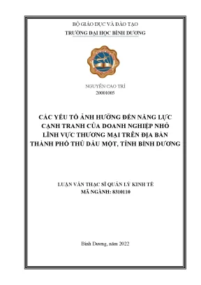 Các yếu tố ảnh hưởng đến năng lực cạnh tranh của doanh nghiệp nhỏ lĩnh vực thương mại trên địa bàn thành phố thủ dầu một tỉnh bình dương
