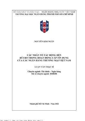 Các nhân tố tác động đến rủi ro trong hoạt động cấp tín dụng của các ngân hàng thương mại việt nam 2022