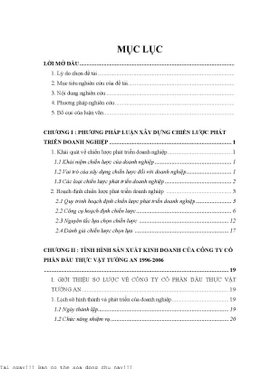 Xây dựng chiến lược phát triển công ty dầu thực vật tường an