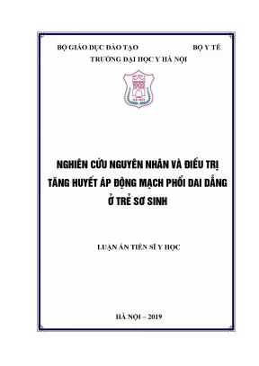 Nghiên cứu nguyên nhân và điều trị tăng huyết áp động mạch phổi dai dẳng ở trẻ sơ sinh